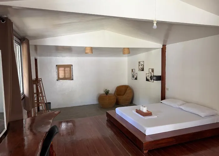 Tribal Xperience Guesthouse